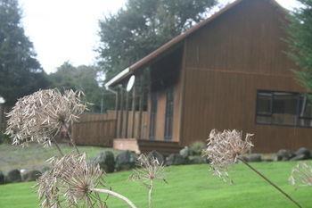 Ariari Lodge, Lake Rotorangi Stratford Exteriér fotografie